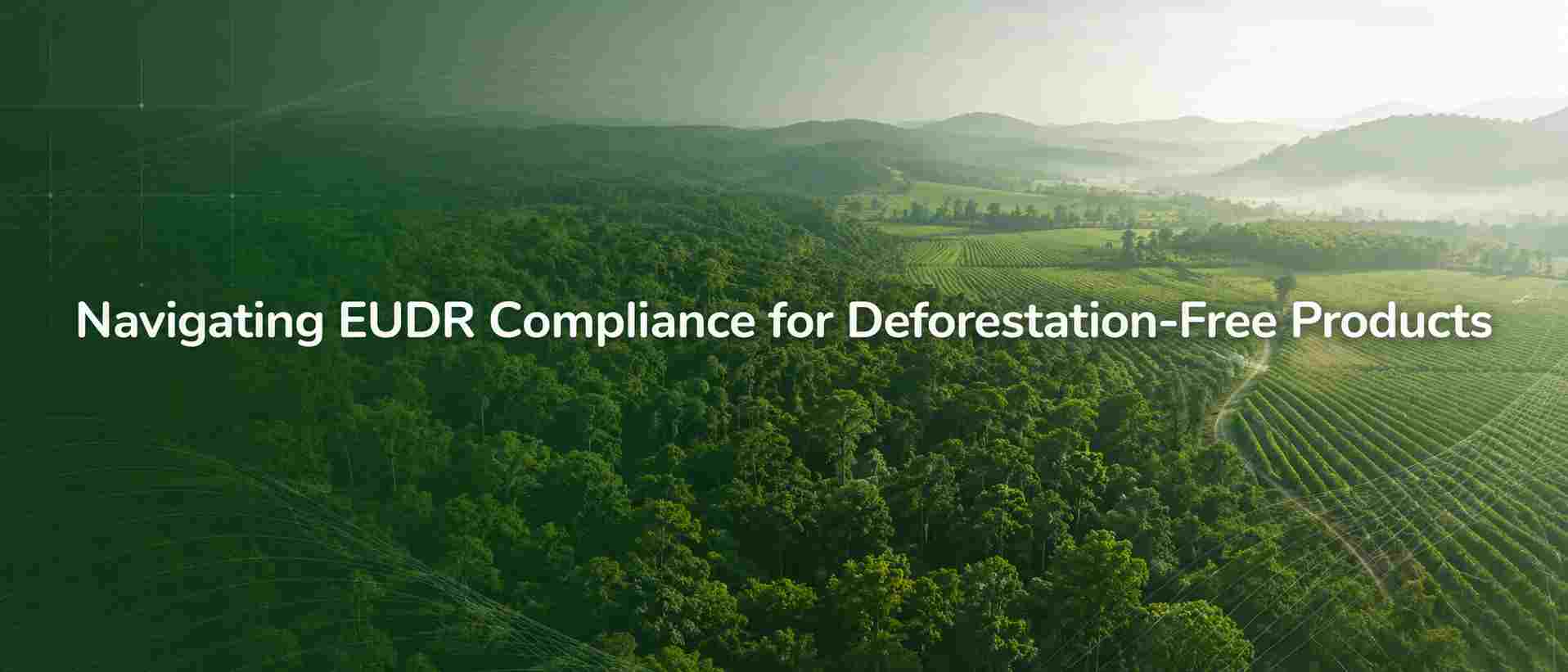 EUDR-Compliance-Leitfaden 2026