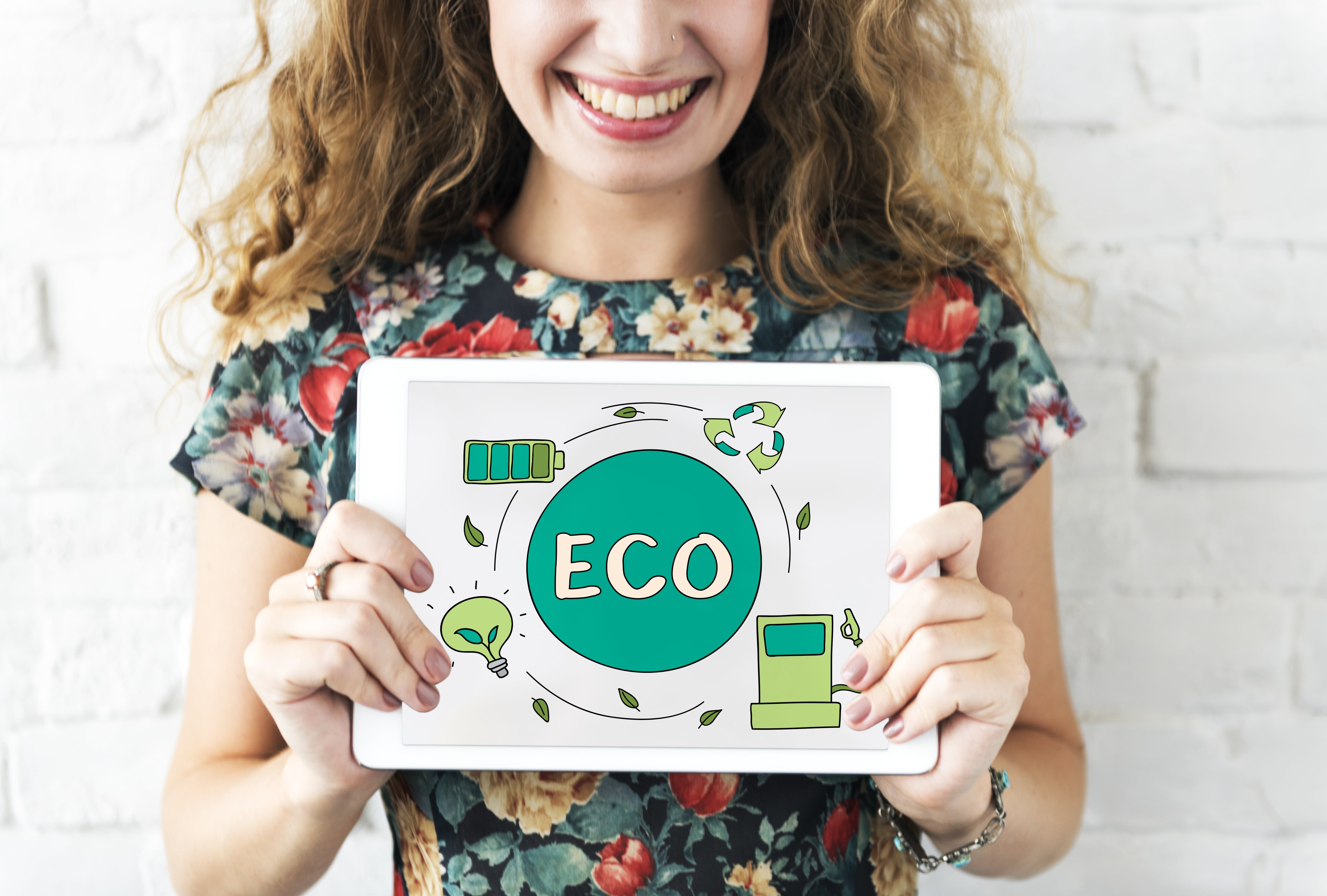 European Green Deal European Green Deal